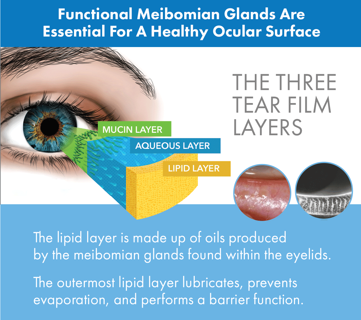 Three layers of healthy tear flim